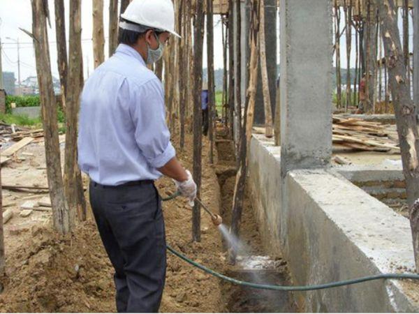 Cách phòng chống mối cho công trình xây dựng