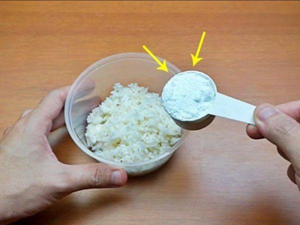 3-cach-diet-chuot-bang-xi-mang