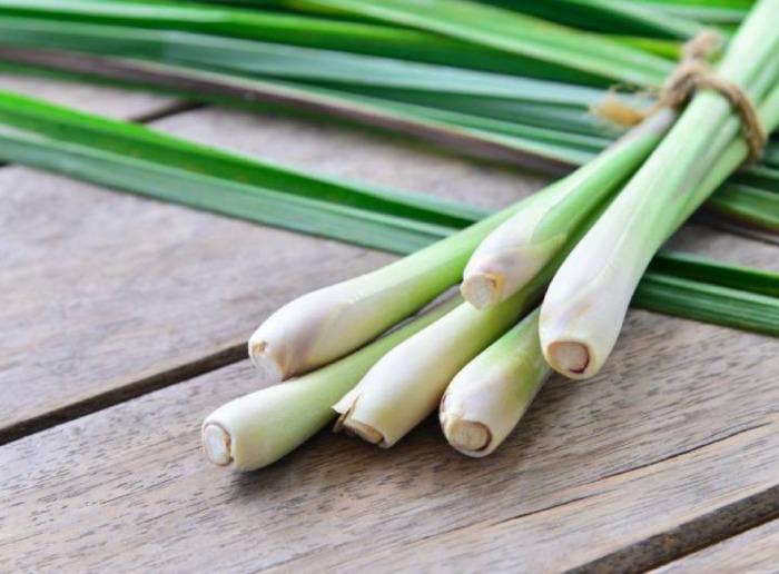 4-cach-diet-con-trung-trong-phong-ngu