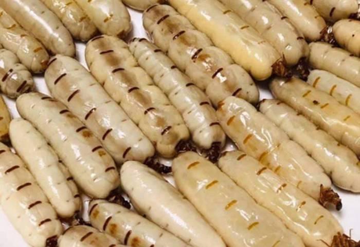Mối chúa giữ vai trò then chốt trong quá trình sinh sản của tổ mối