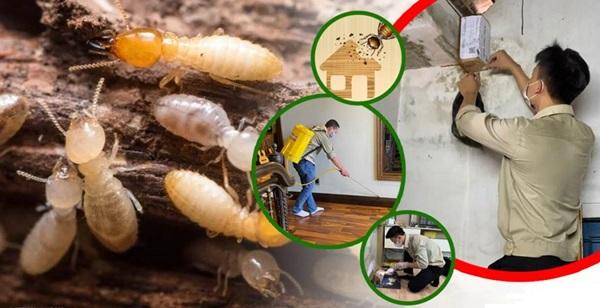 Trang bị bảo hộ trước khi tiến hành diệt mối