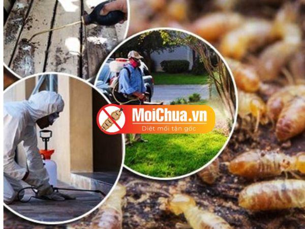 6-cach-diet-moi-trong-tuong-nha