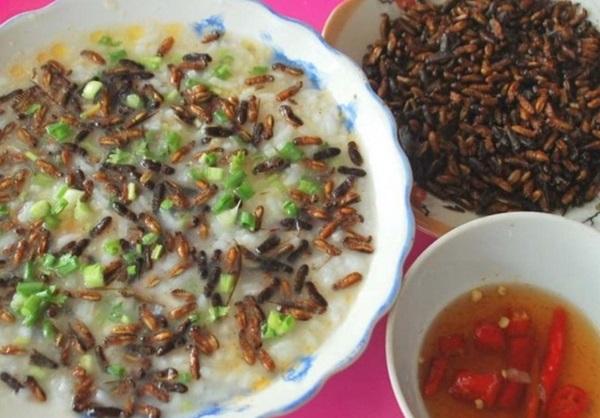 6-con-moi-co-an-duoc-khong