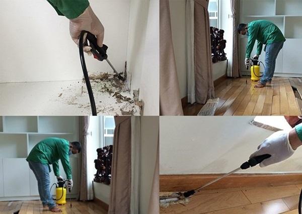 Diệt mối tận gốc tại nhà an toàn, hiệu quả cao
