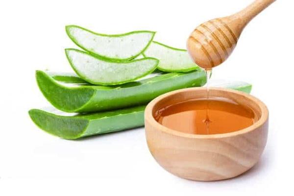 Nha đam cũng là một trong các cách tiêu diệt mối đất hiệu quả