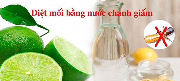 Diệt mối gỗ khô bằng giấm và chanh