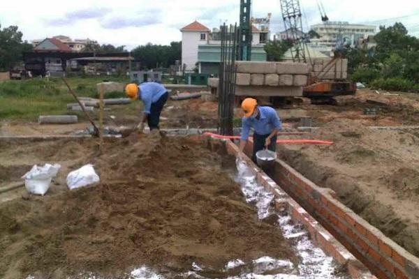 Cách chống mối cho nhà mới xây an toàn và hiệu quả