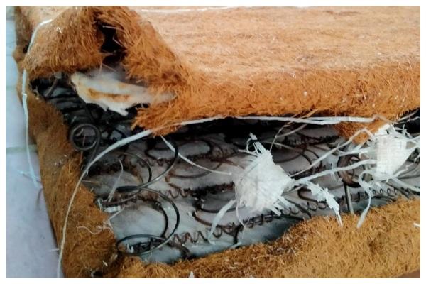 Trong ghế sofa, nệm lò xo ấm áp và có khoảng trống nên rất phù hợp cho chuột ở