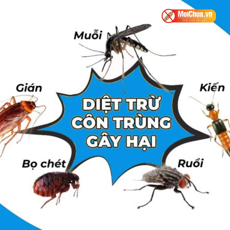 dv-diet-con-trung-2