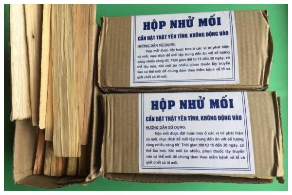 Hộp nhử mồi dùng diệt mối hiệu quả