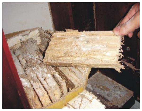 Phòng chống mối định kỳ