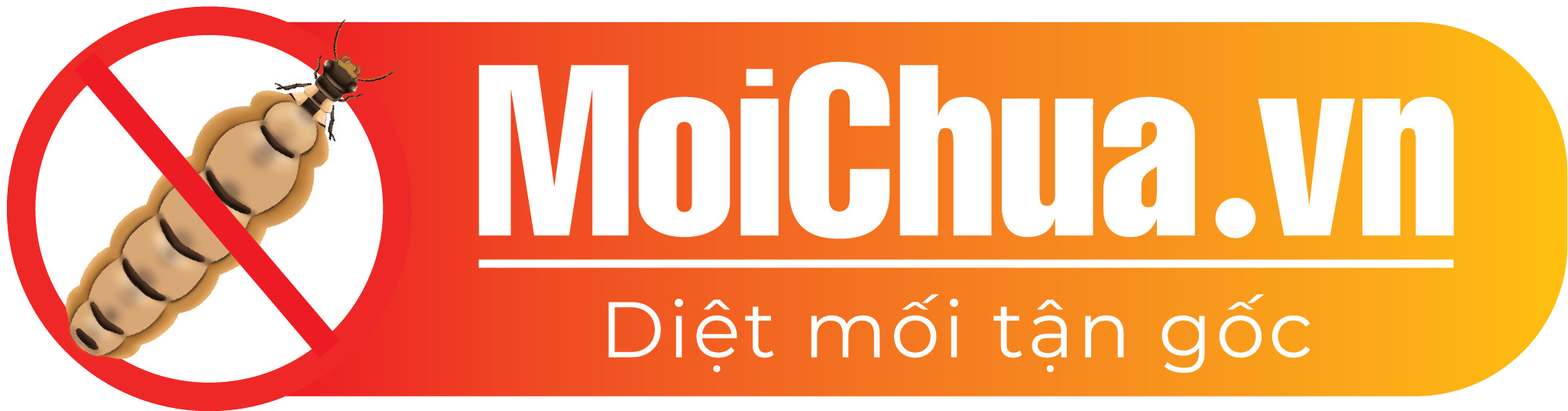 Mối Chúa Việt Nam - Công ty dịch vụ diệt mối, côn trùng tại TPHCM