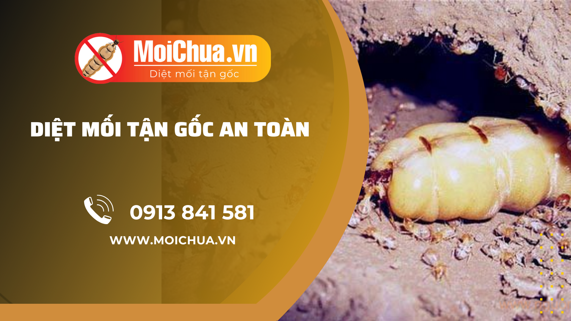 10 cách diệt chuột trong phòng trọ nhanh chóng và hiệu quả